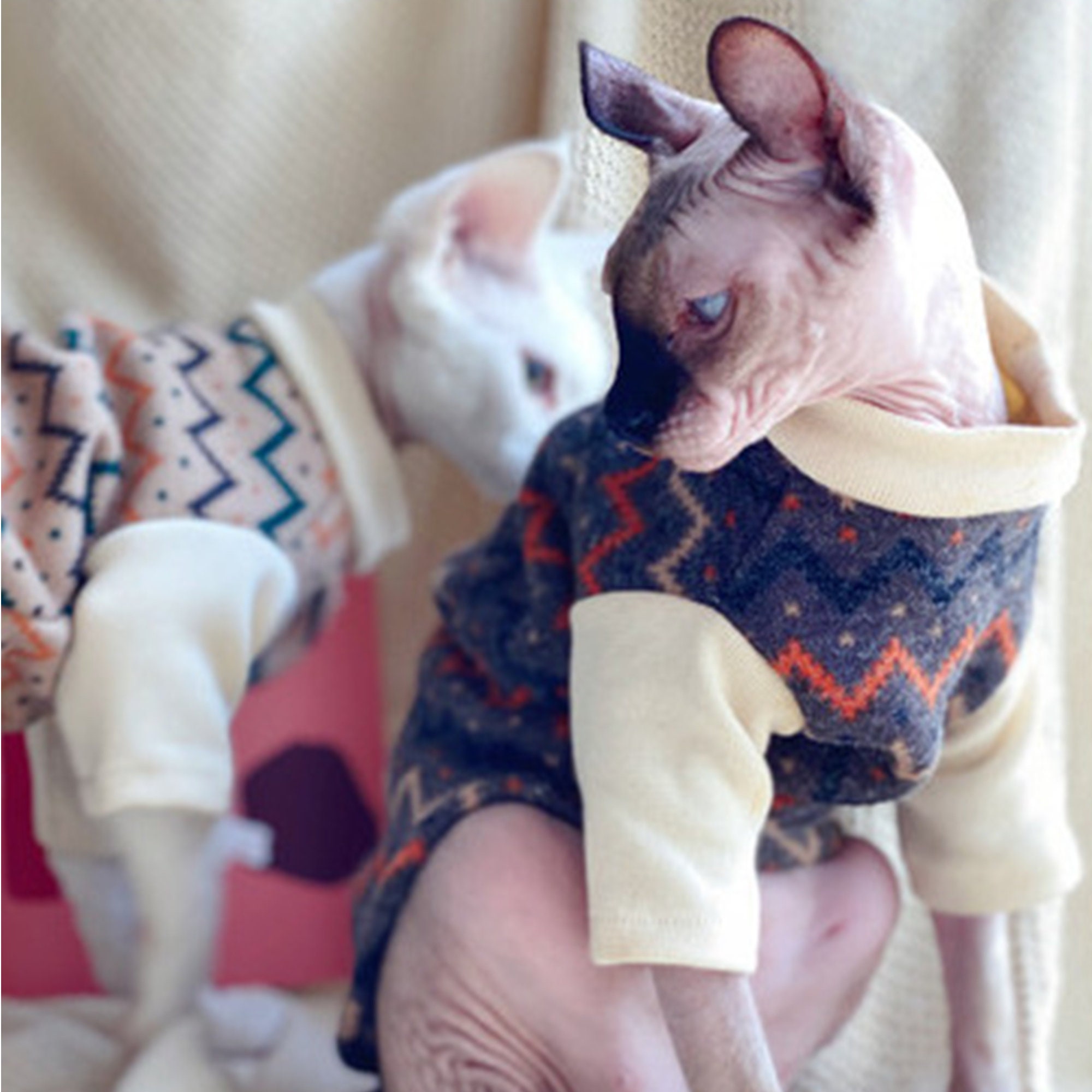 Cat Clothes Hairless Cat Clothing Velvet Fashion Top for Cats Etsy