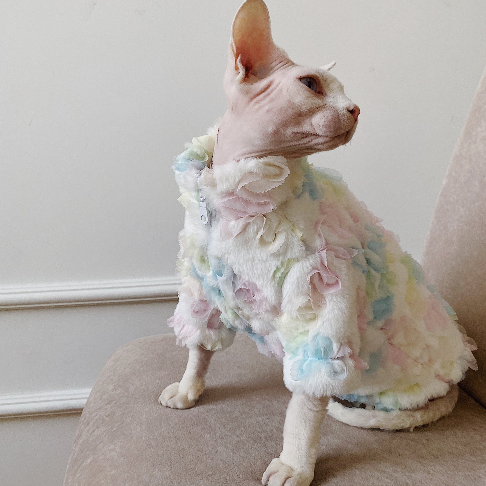 Colorful Coat for Hairless Cat Sphynx Cat Winter Cat Etsy