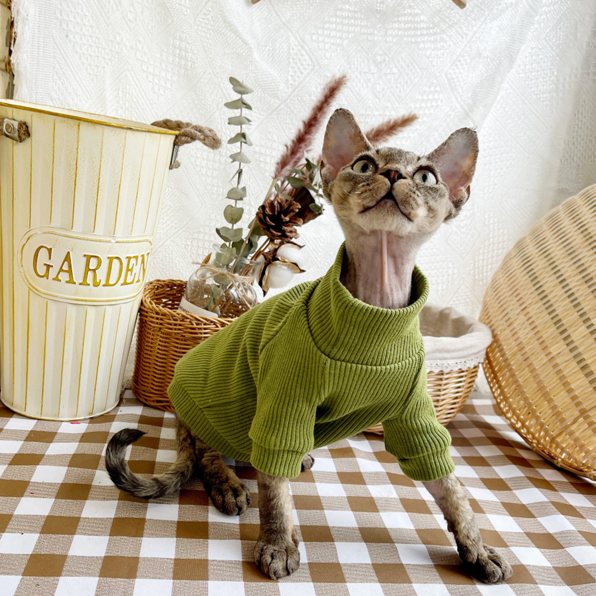 Hairless Cat Clothes Sphynx Devin Sweater