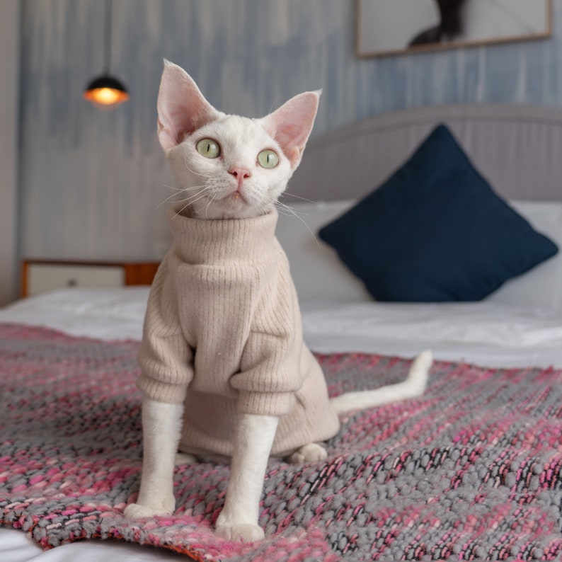 Cat Clothes Hairless Cat Clothes Sphynx Cat Clothes Minimalism Etsy