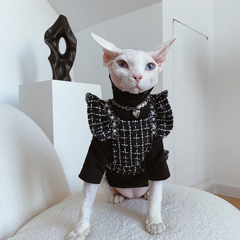 Adorable Cat Dress Sphynx Cat Clothes Hairless Cat Skirt Devon - Etsy