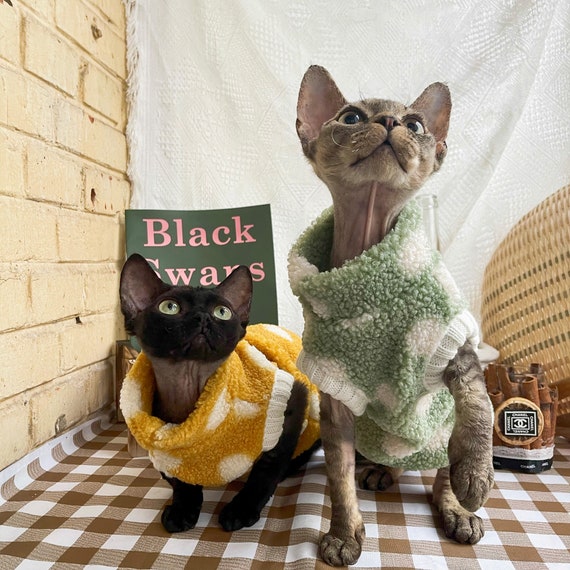 Cozy Warm Cat Sweater Sphynx Cat 