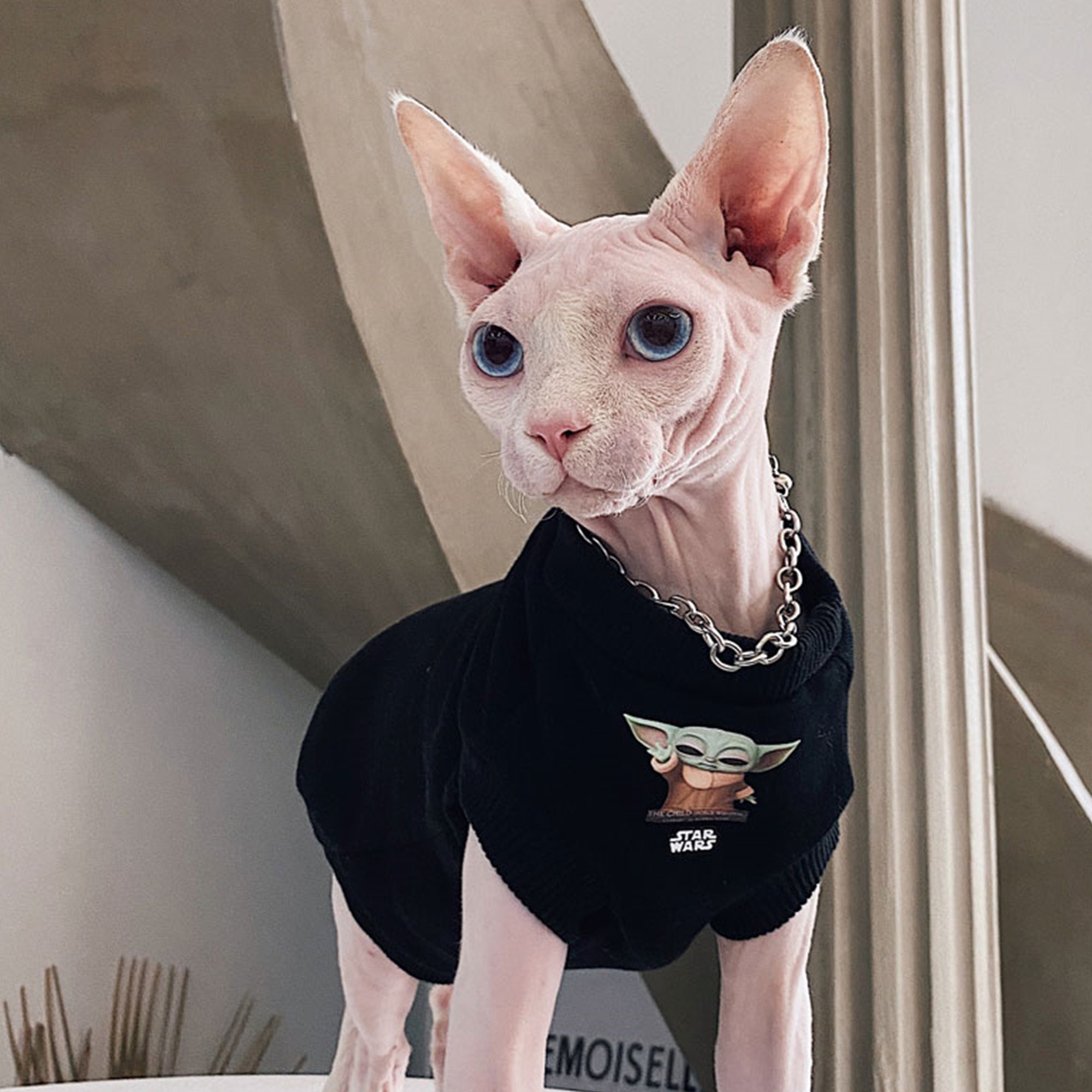 Sphynx Cat Apparel
 Cotton Hairless Cat Clothes Sphynx Cat Clothing Hooded Smile