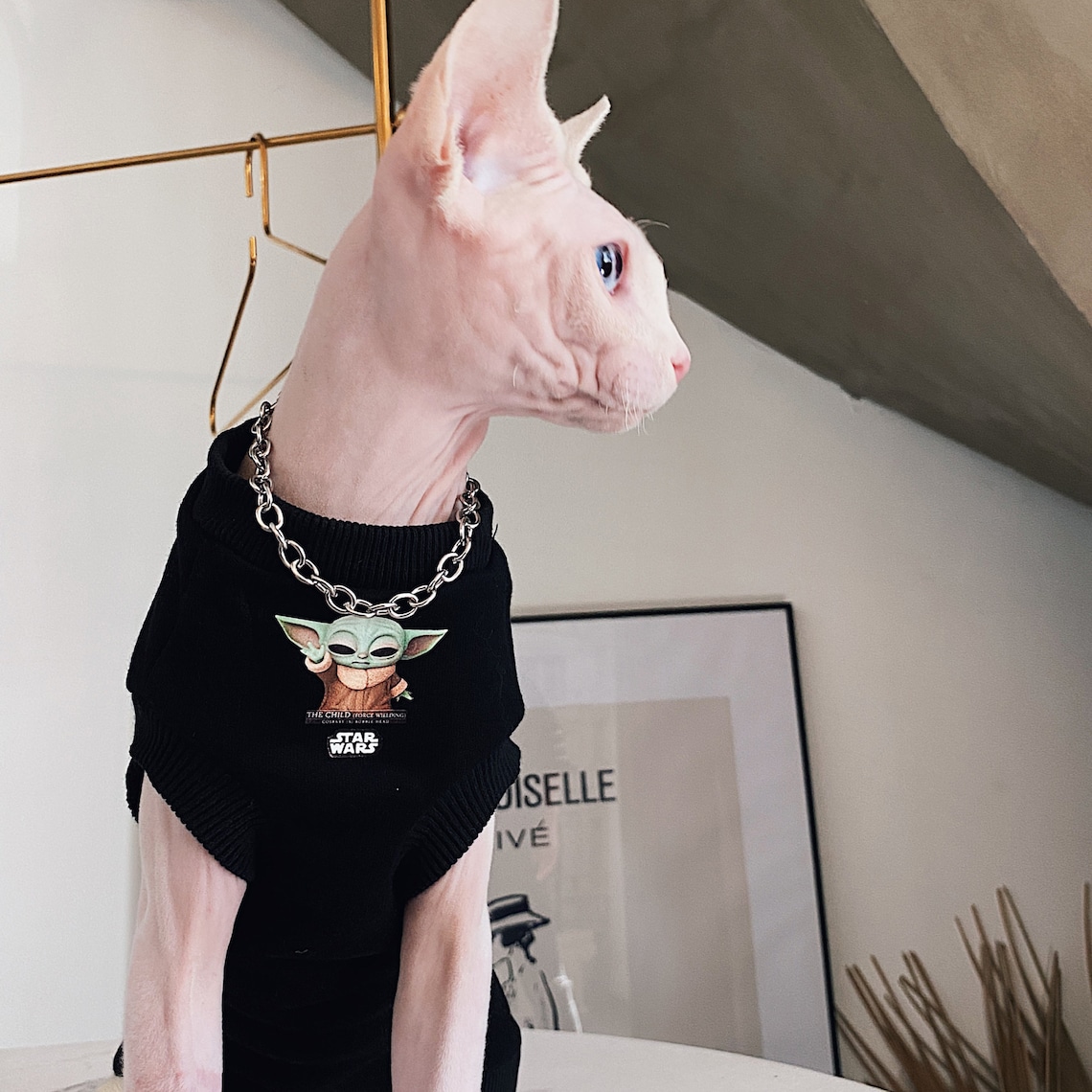 Cotton Hairless Cat Clothes Sphynx Cat Clothing Hooded Smile Etsy