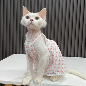 Adorable Cute Pink Heart Sphynx Cat Dress, Beautiful Dress for Summer, Cat Shirt