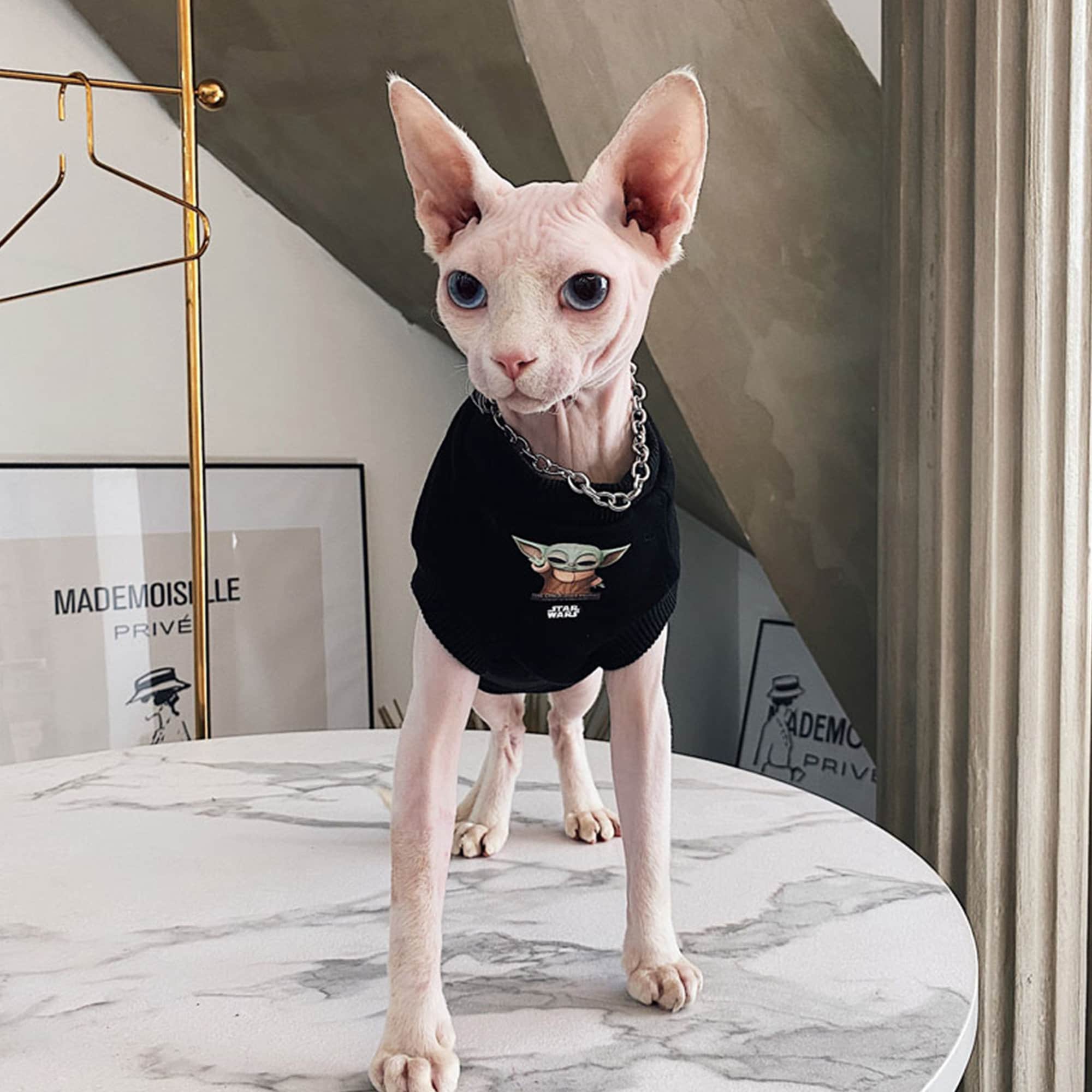 Cotton Hairless Cat Clothes Sphynx Cat Clothing Hooded Smile Etsy