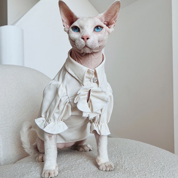 Hairless cat t deals shirt