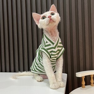 V-neck Stripe Cat Vest, Purple, Green and Blue Cat Clothes for Hairless Cat, Sphynx Cat, Gift for Cat Lover