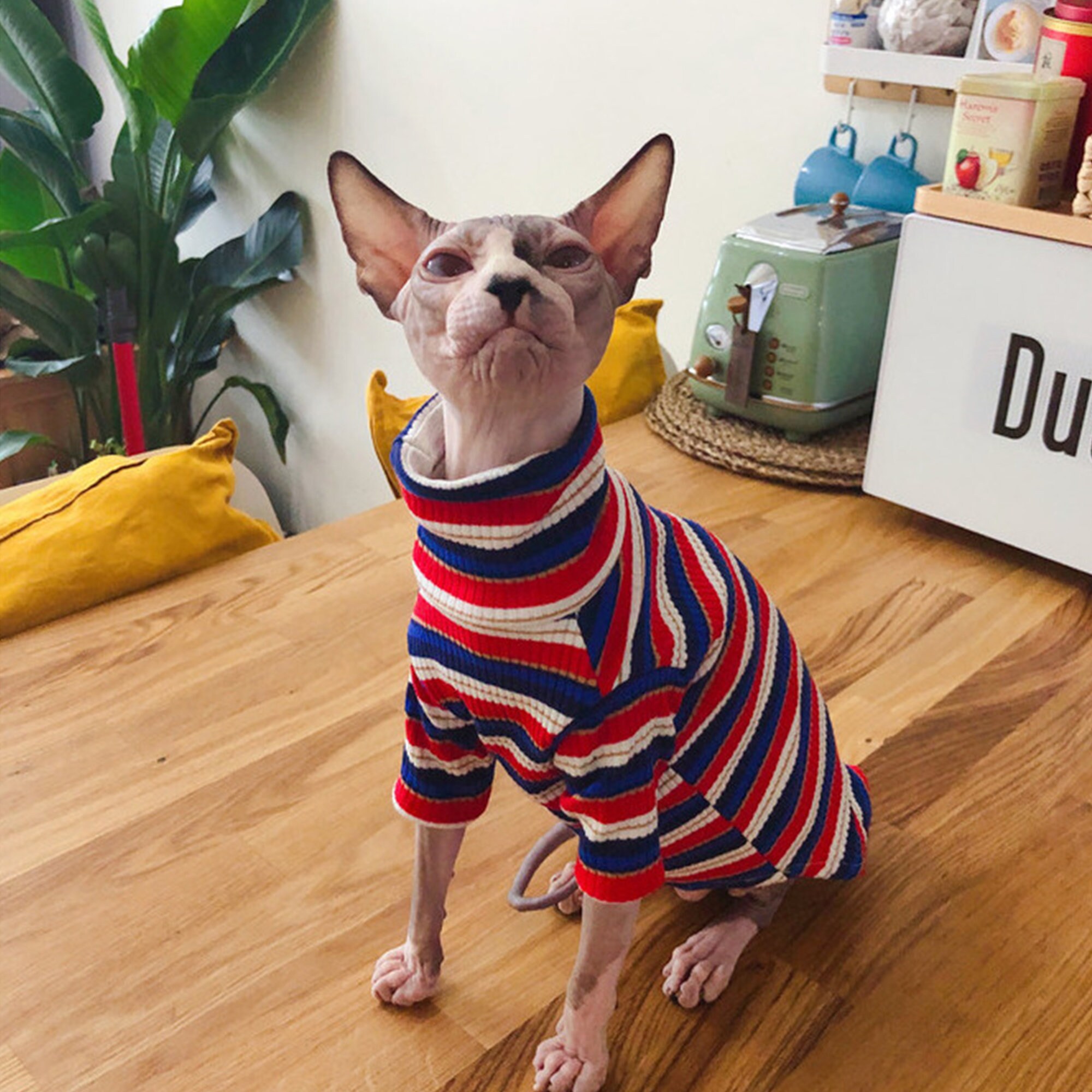 Cat Clothes Hairless Cat Clothing Cotton Top for Cats Sphynx Etsy