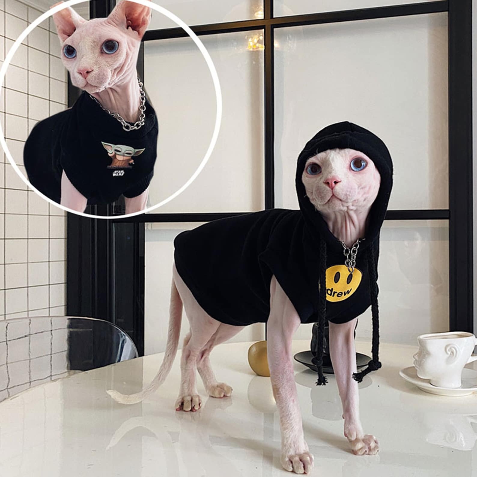 Cotton Hairless Cat Clothes Sphynx Cat Clothing Hooded Smile Etsy