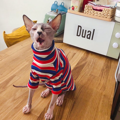 Cotton Hairless Cat Clothes Sphynx Cat Clothing Simple but Etsy