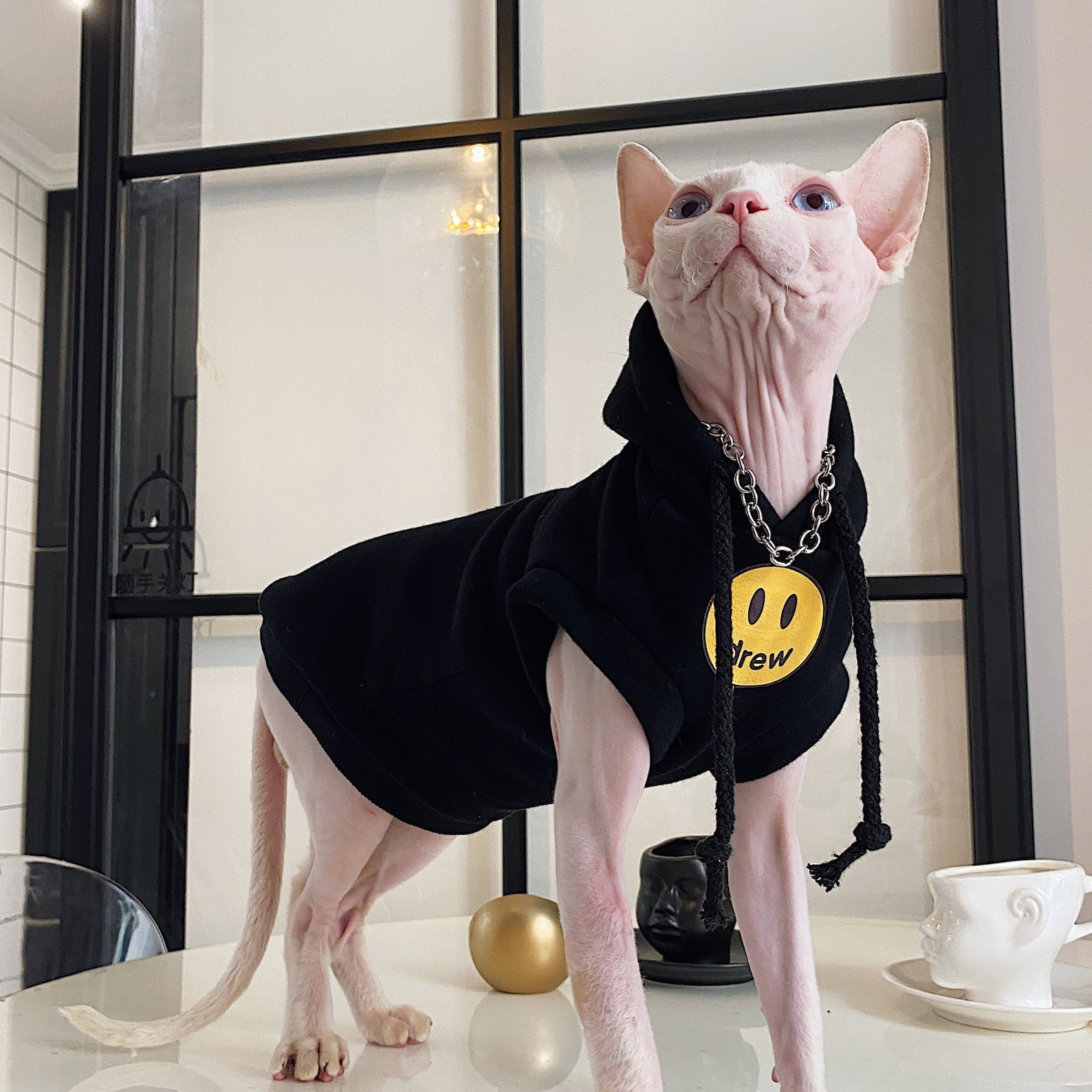 Monster In Cats Clothing Cotton Hairless Cat Clothes Sphynx Cat Clothing Hooded Smile - Etsy