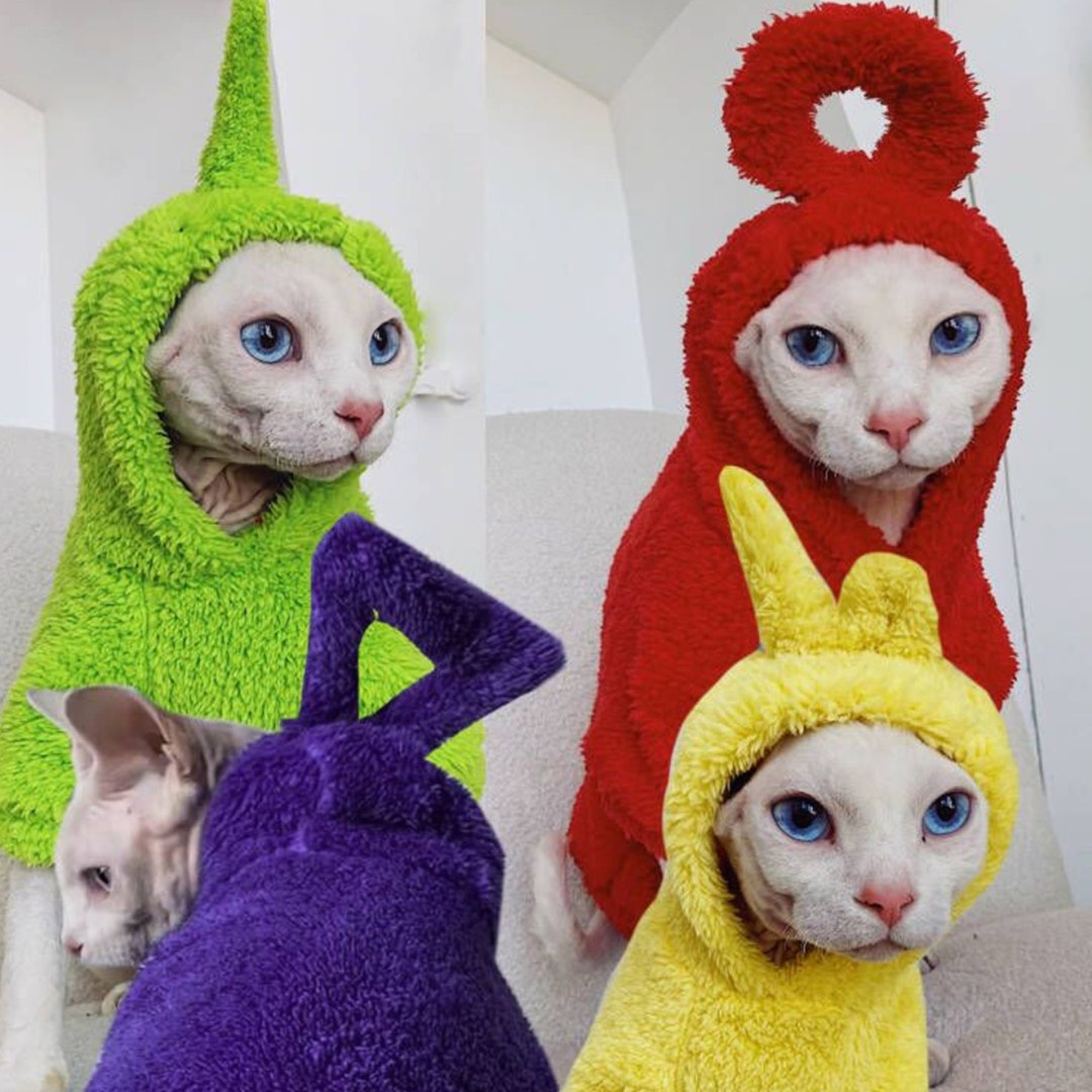 Super Cute Funny Sphynx Cat in Hoodie · Creative Fabrica