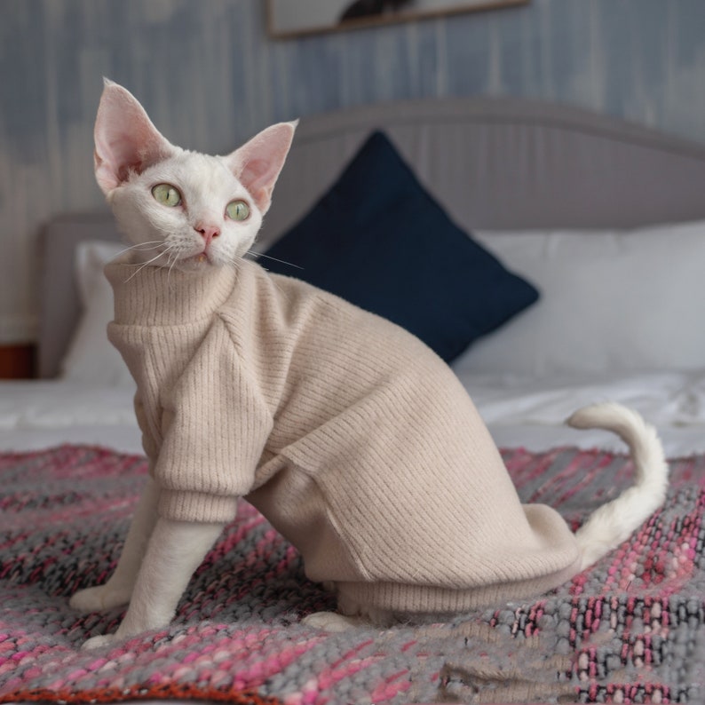Cat Clothes Hairless Cat Clothes Sphynx Cat Clothes Minimalism Etsy