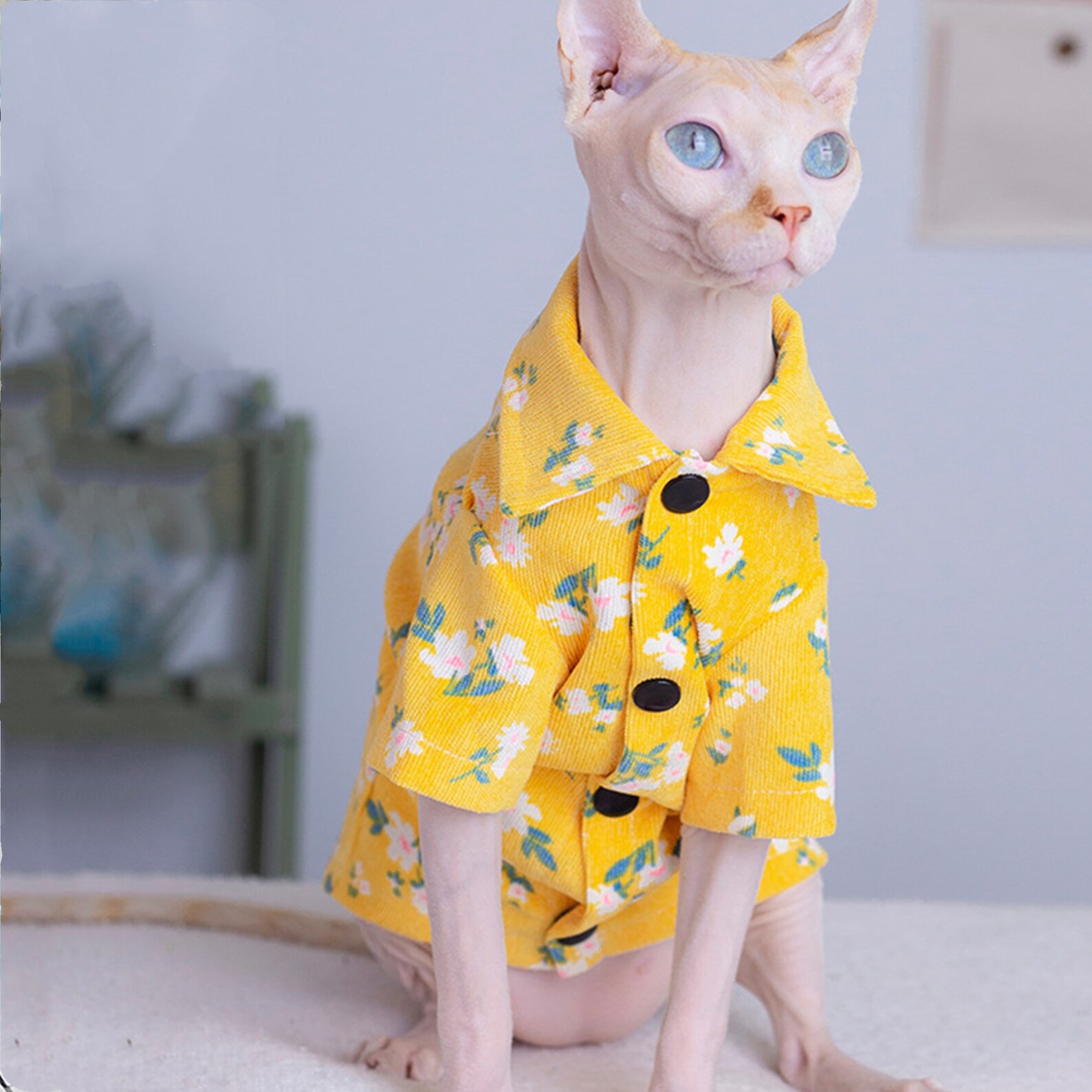 Cat Clothes Hairless Cat Cotton Clothes for Cats Tshirt Etsy