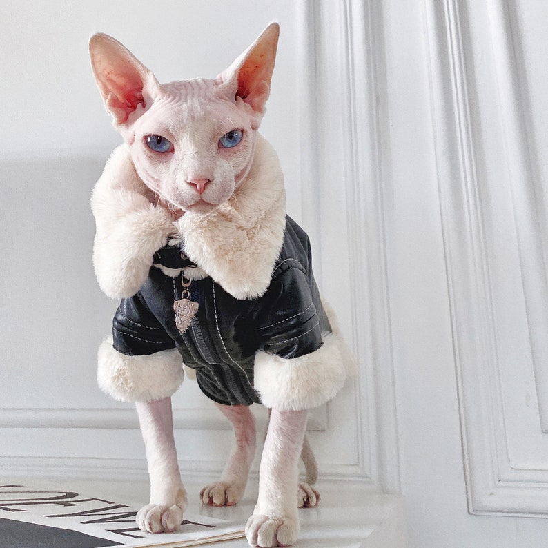 Luxury Cat Sweater Warm Clothes for Cat Sphynx Cat Coat - Etsy