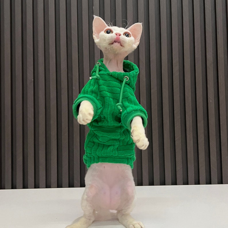 Cozy Green Hoodie for Hairless Cat, Hoodie for Winter, Sphynx Cat Clothes image 5