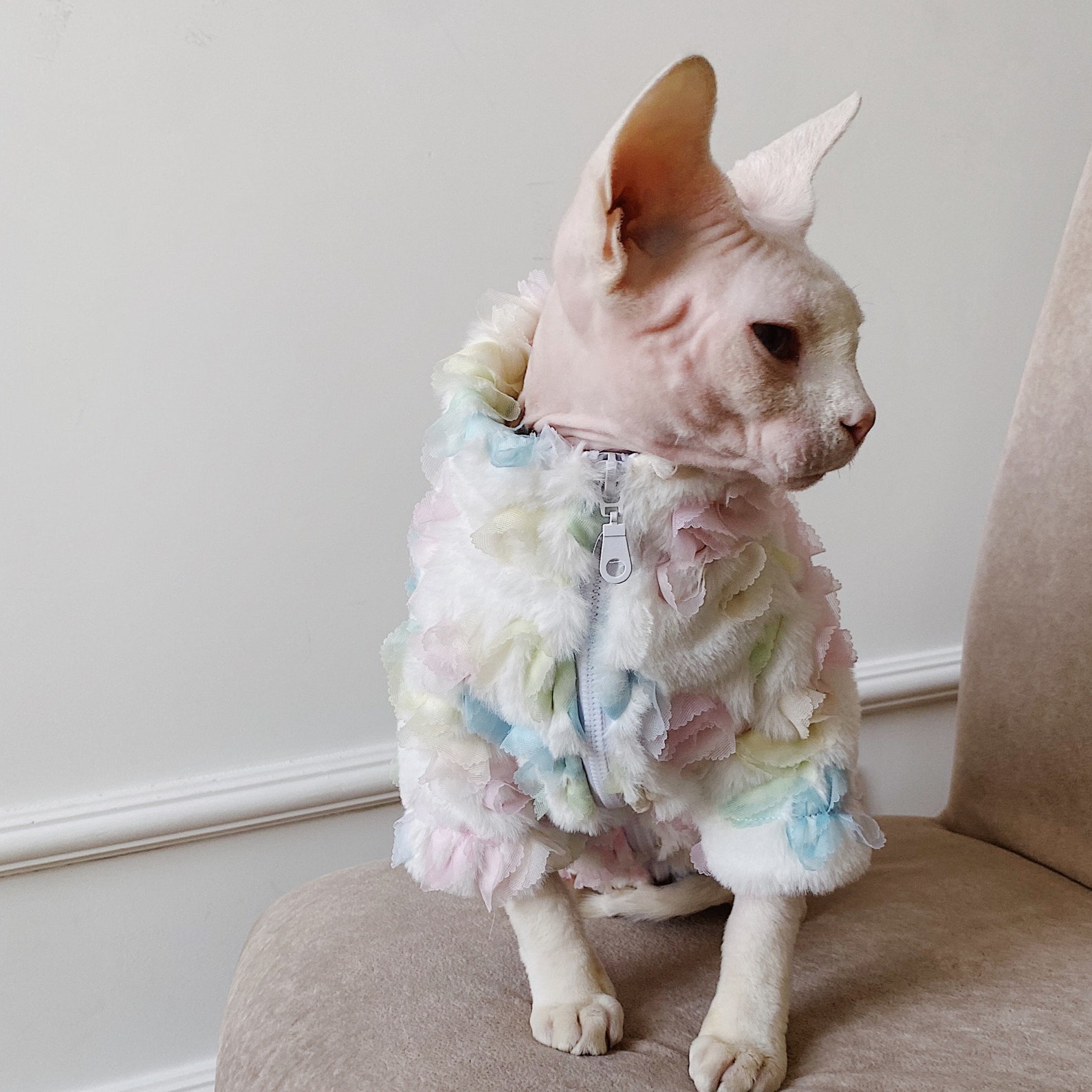 Colorful Coat for Hairless Cat Sphynx Cat Winter Cat Etsy
