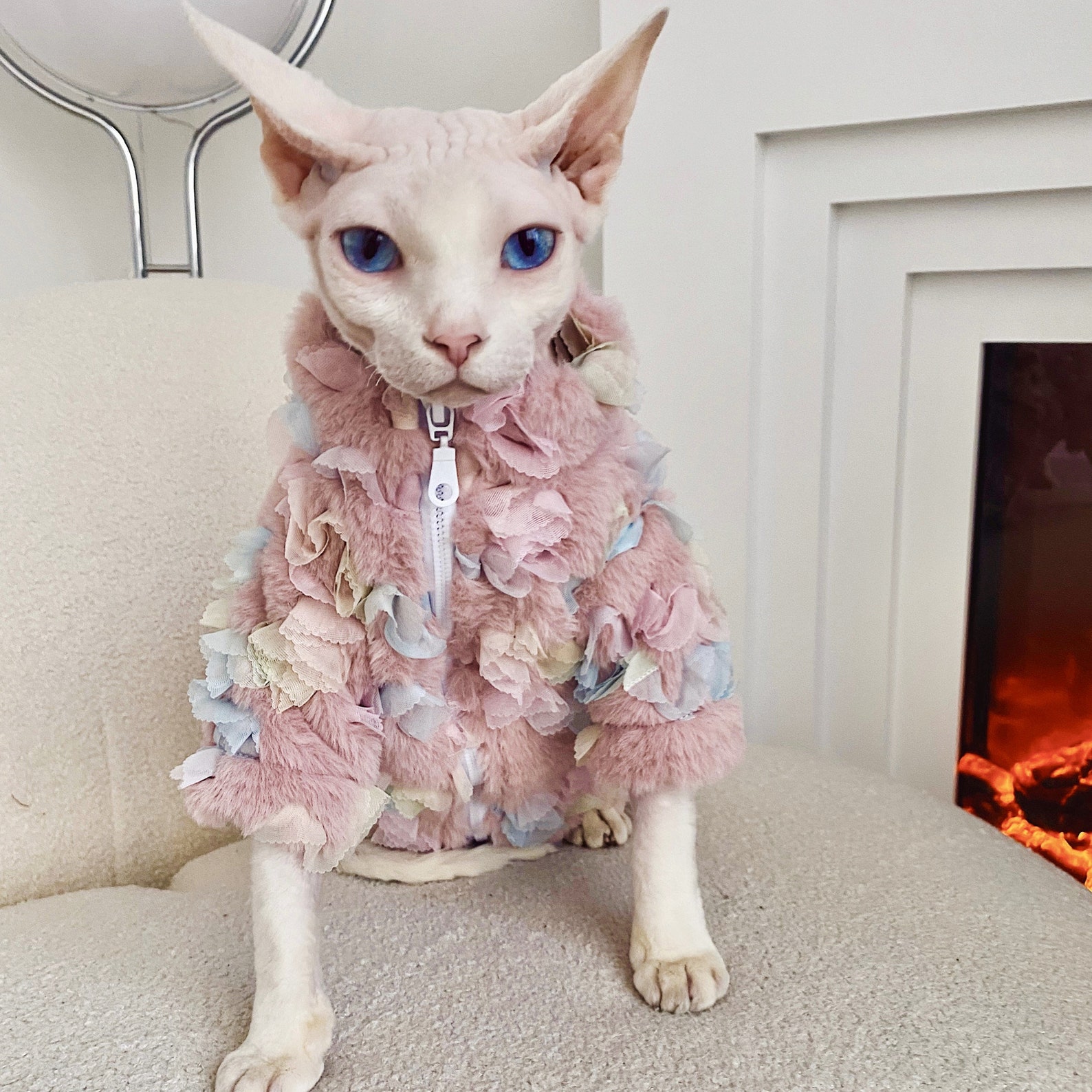 Colorful Coat for Hairless Cat Sphynx Cat Winter Cat Etsy