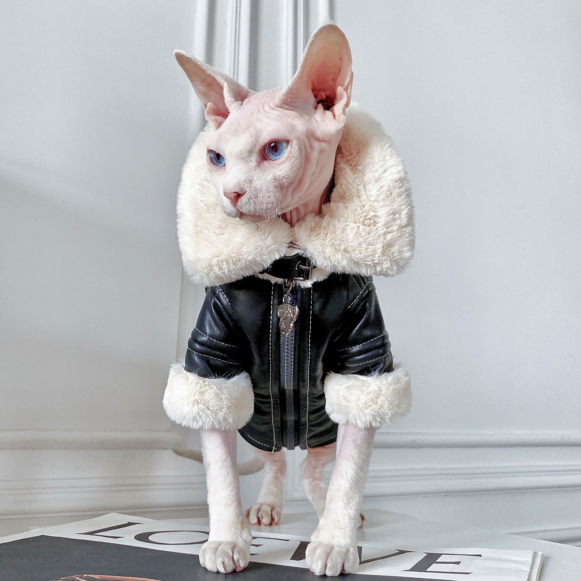 Luxury Cat Sweater Warm Clothes for Cat Sphynx Cat Coat -  Israel