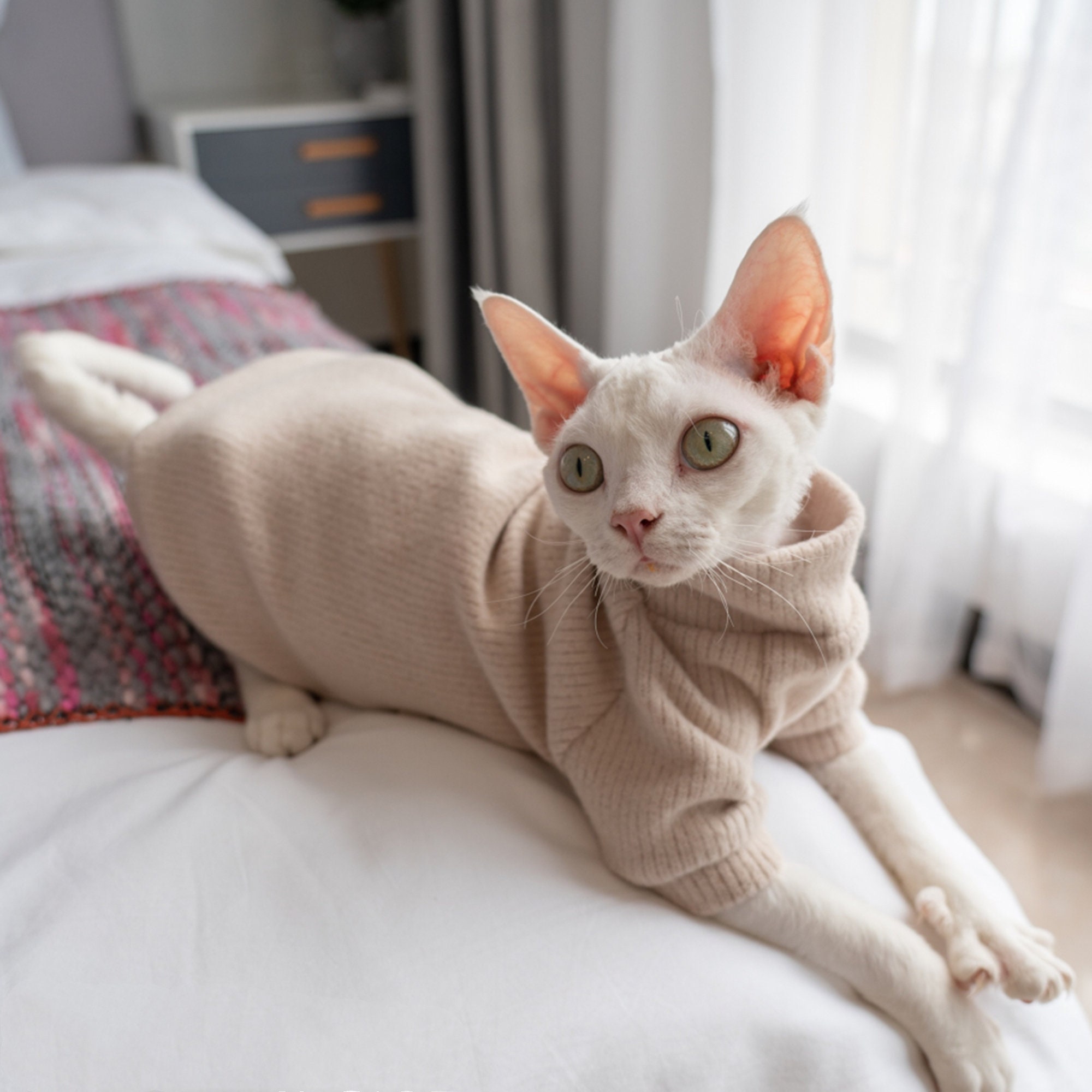 いただけま Sphynx Hairless Cat Clothes Summer Thin Round Collar Ruffle ...