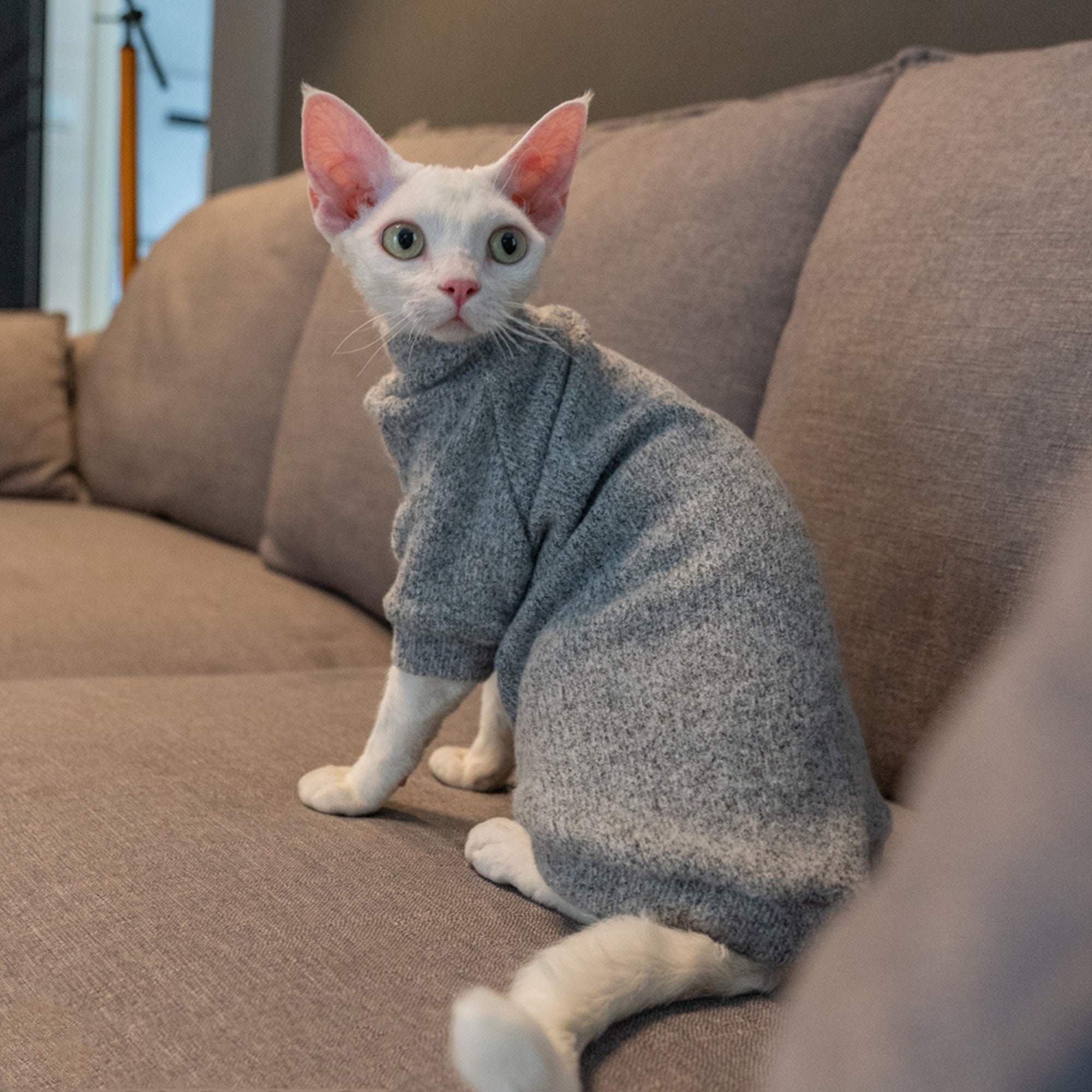 Warm Sweater for Cats Cat Clothes Thick Sweater for Cats Etsy