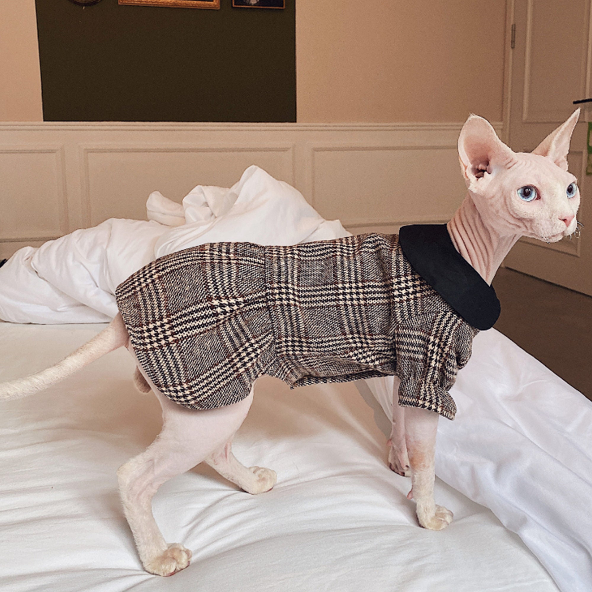 Adorable Sphynx Cat Dress Hairless Cat Clothing British Style Etsy