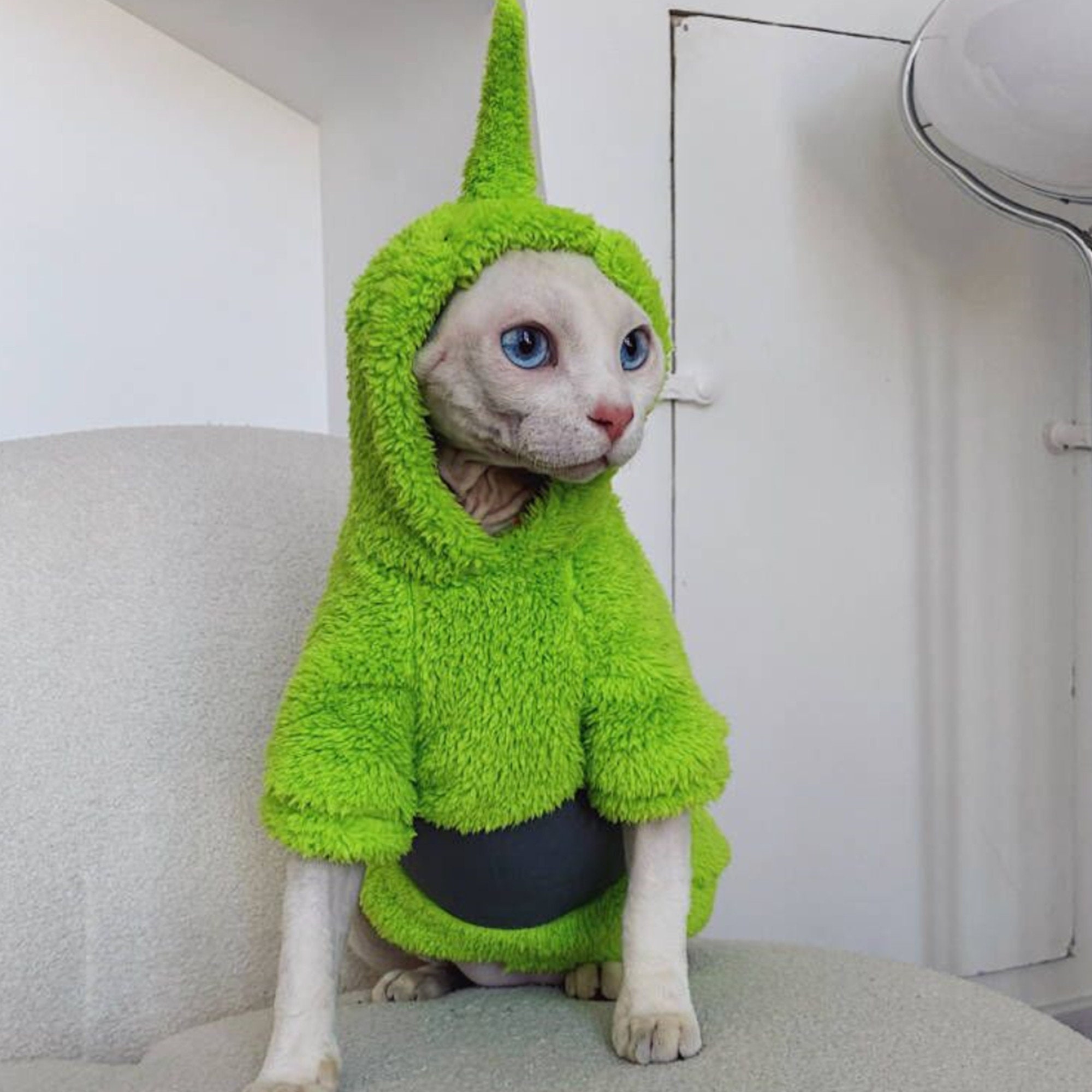 Super Cute Funny Sphynx Cat in Hoodie · Creative Fabrica