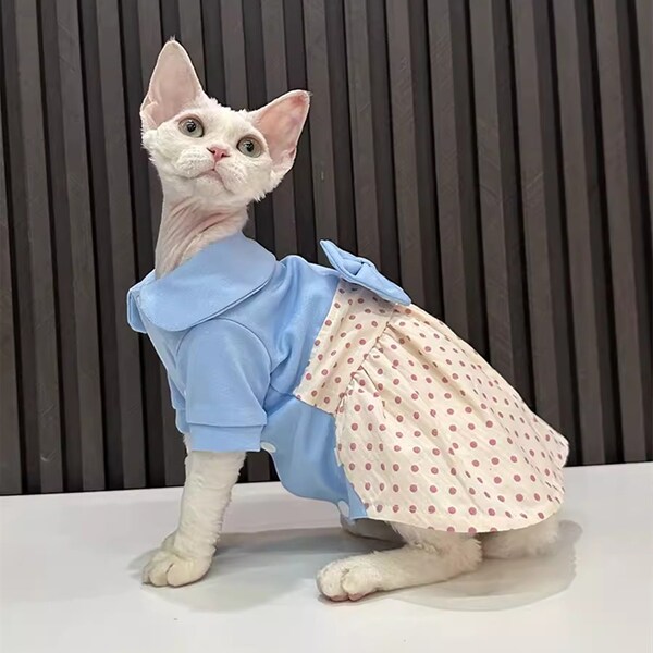 Super cute blue and white polka dot dress with bow for Cat, Spring Summer Cat Clothing, Sphynx Cat Clothing, Devon Rex Clothing, Pet wedding