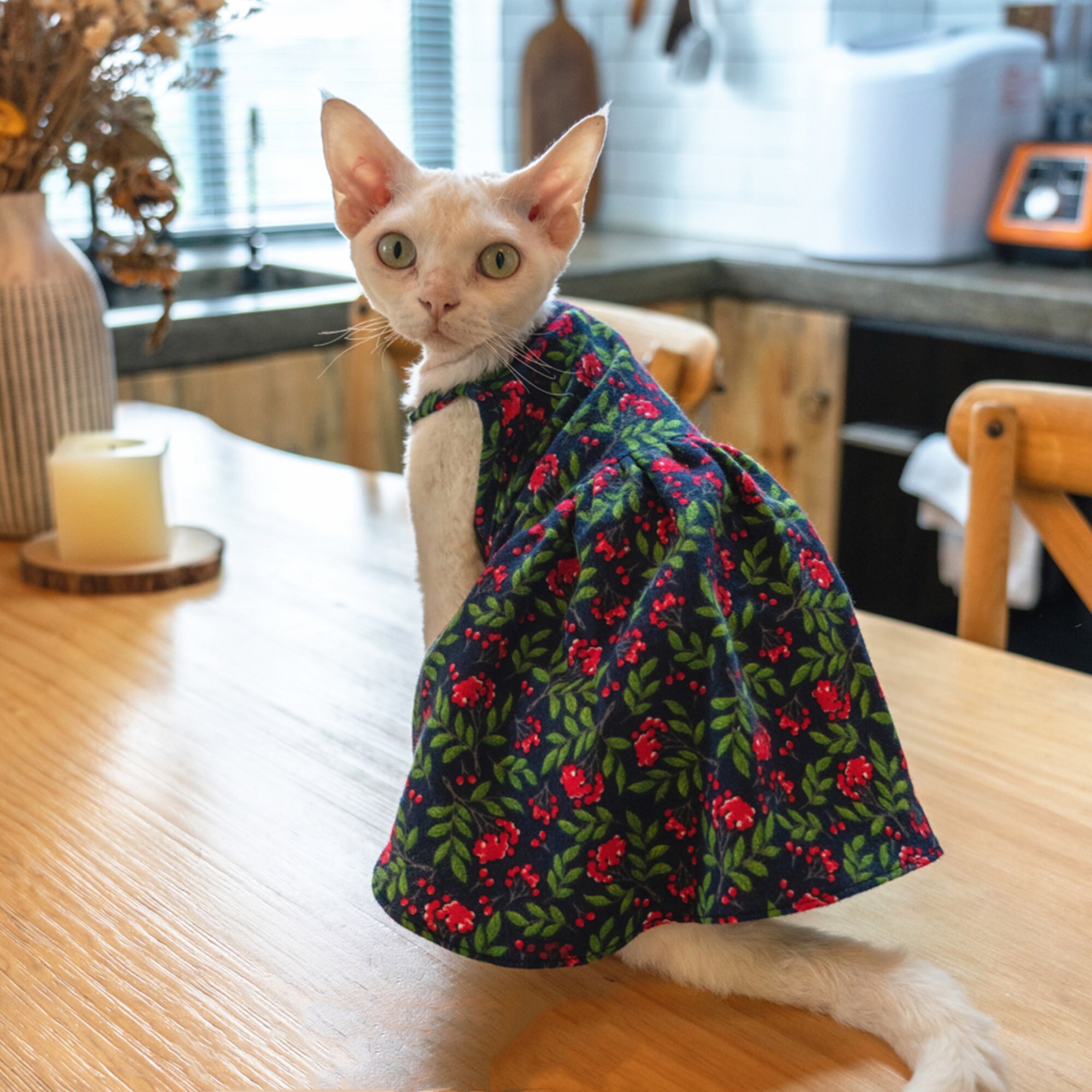 Elegant Cotton Cat Clothes Hairless Cat Dress Sphynx Cat Skirt Etsy
