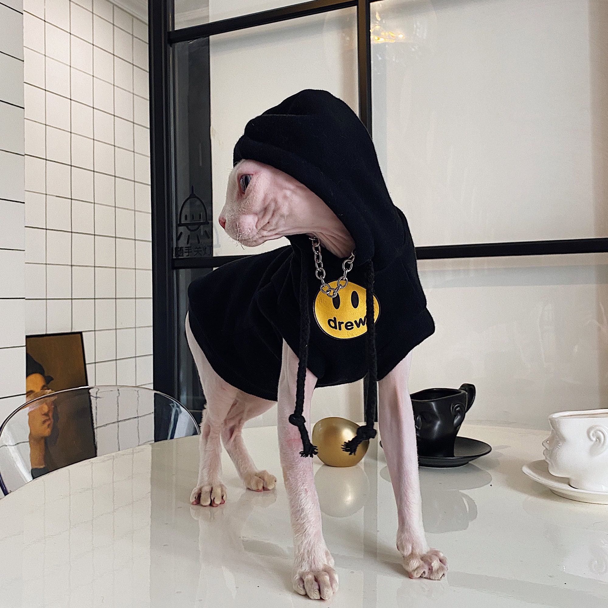 Cotton Hairless Cat Clothes Sphynx Cat Clothing Hooded Smile Etsy