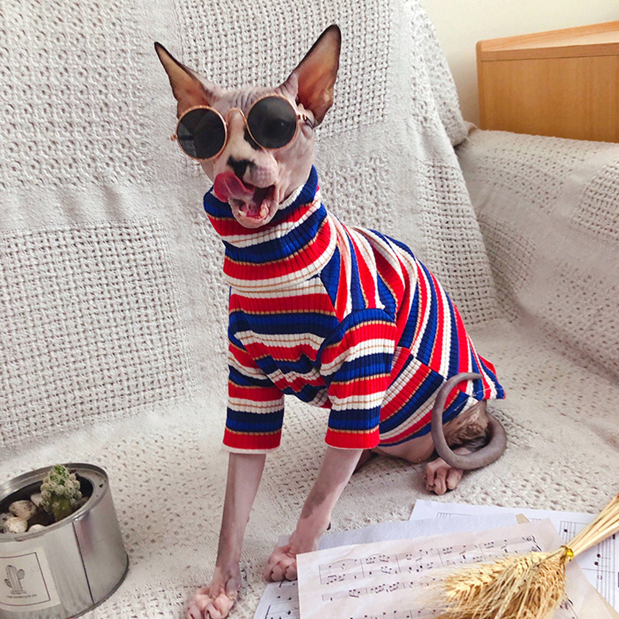 Cat Clothes Hairless Cat Clothing Cotton Top for Cats Sphynx Etsy