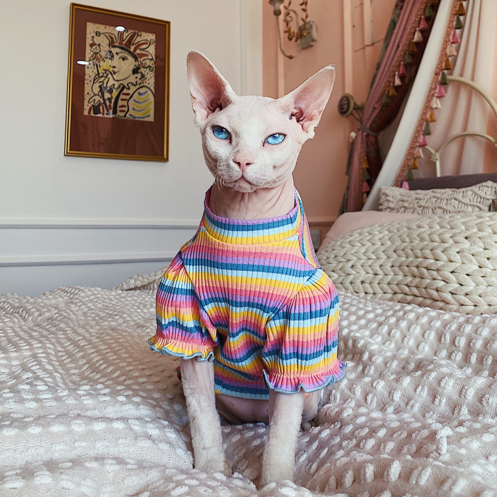 An Monster In Cats Clothing Colorful Cat Clothes Cat Dress Hairless Cat Clothes Sphynx Cat | Etsy