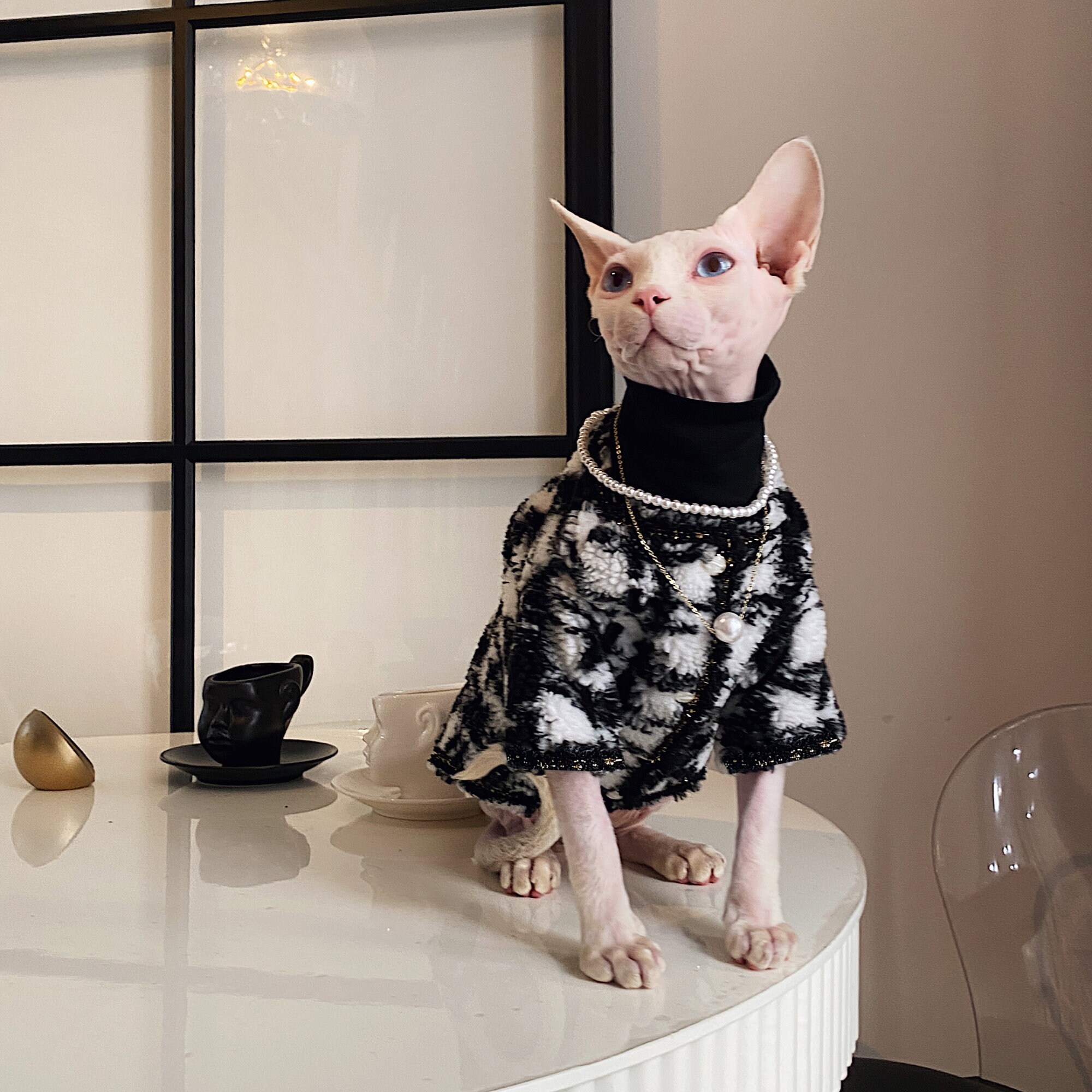 Hairless Cat Clothes Sweater for Cat Sphynx Cat Clothes Luxury Etsy