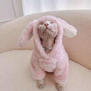 Pet Cat Clothes Autumn Winter Warm Cat Dog Soft Bunny Plush Jacket