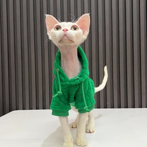 Cozy Green Hoodie for Hairless Cat, Hoodie for Winter, Sphynx Cat Clothes image 4