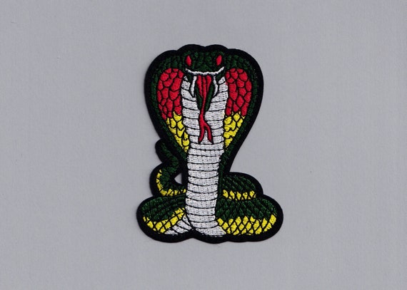 Anfora con Manici a Serpente cm 42 STEMMA MEDICI e LEONI – CERAMICHE