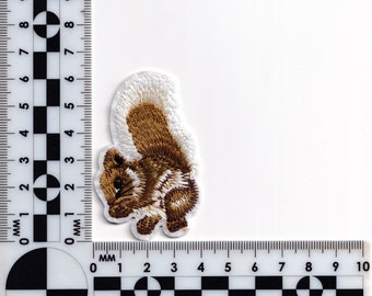 2/10Pcs Patch Ricamate Scoiattolo Animale Per Abbigliamento - Foto 3