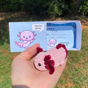 May include: A small, light pink crocheted axolotl plush with dark red gills, presented with a white cardboard box featuring a cartoon axolotl and text that reads: Please look after me, My name is: Ella, I like: Cherries and cloud watching.