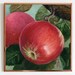 see more listings in the Still Life Home Decor  section