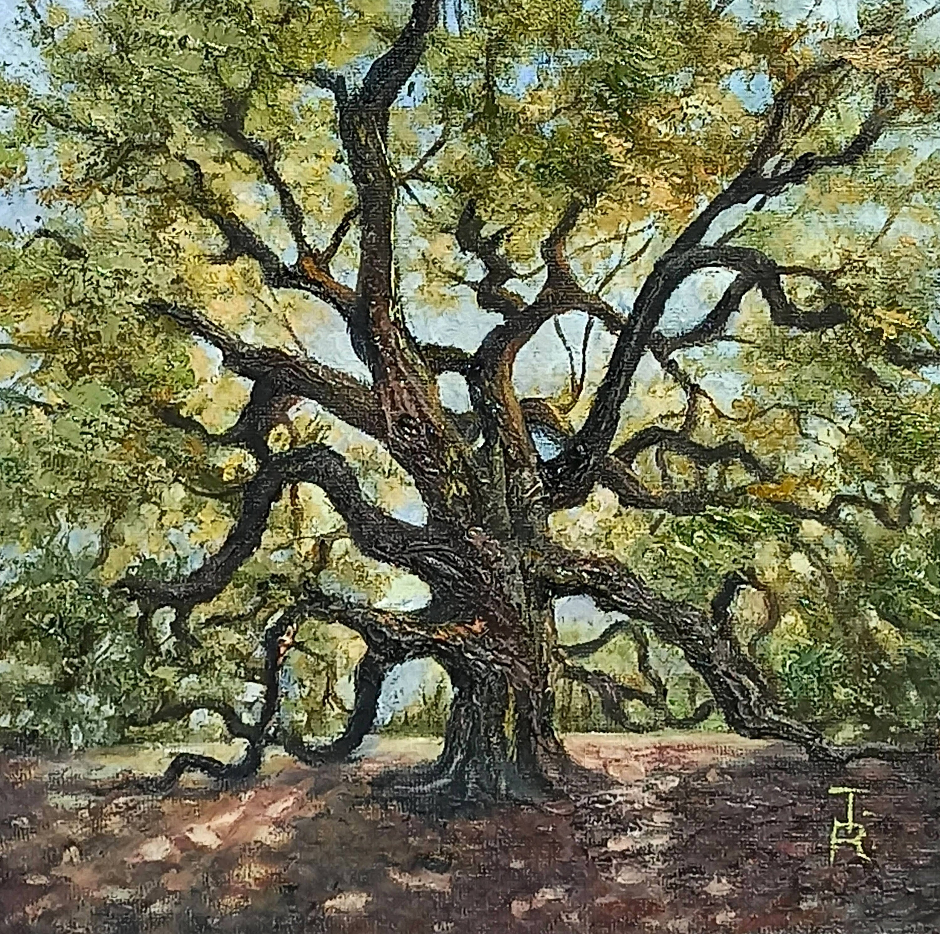Angel Oak Tree Painting Forest Wall Art Oil Painting Original on Canvas