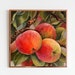 see more listings in the Still Life Home Decor  section