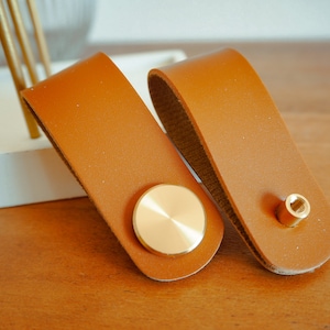 May include: Two brown leather cabinet pulls with brass accents. One pull has a round brass knob and the other has a small brass screw.