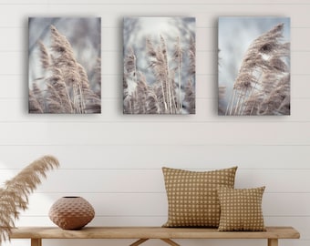 Reframed Beige Pampas Gräser Bilder Set auf Premium Leinwand - 3-tlg. Deko für Wohnzimmer Schlafzimmer Flur - Print Bilder Wand Foto Canvas