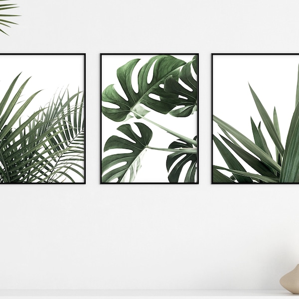 Monstera Palmen Grünpflanzen Poster Set 3-tlg. | Reframed® Poster Sets