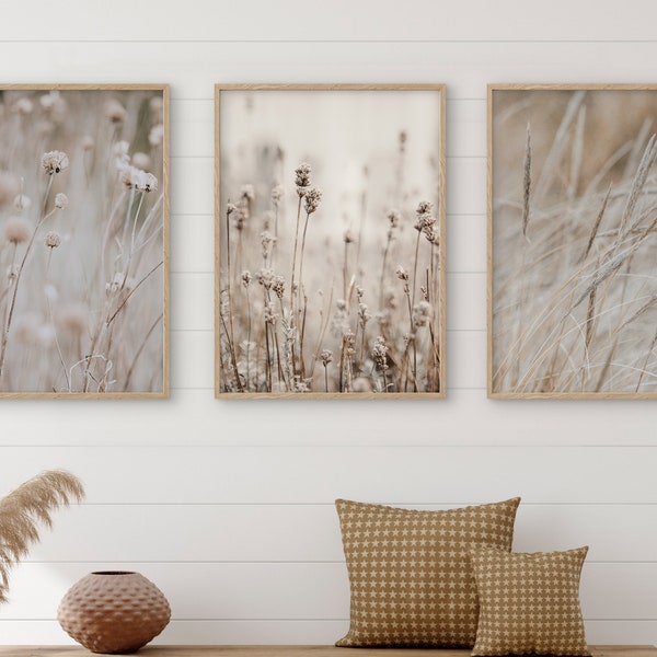 Beige Gräser und Blumen Boho Poster Set 3-tlg. Deko für Wohnzimmer Schlafzimmer Flur Wohnung | Reframed