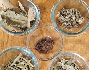 Kidney Tea