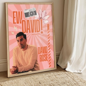 May include: A framed poster with a pink background featuring the text "EW DAVID!" and "DAVID ROSE" in orange. The poster includes an illustration of a camera, a flower, and a portrait of a man. The poster is displayed on a wall.