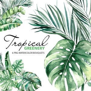 Watercolor Tropical Leaves Clipart – 6 PNG Jungle Greenery Bouquets, Exotic Bouquets for Wedding, Cards, Invitations and party design