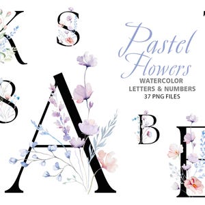 Lettere e numeri dell'alfabeto floreale per matrimonio con fiori selvatici e foglie pastello ad acquerello, clipart estive, 37 illustrazioni PNG isolate